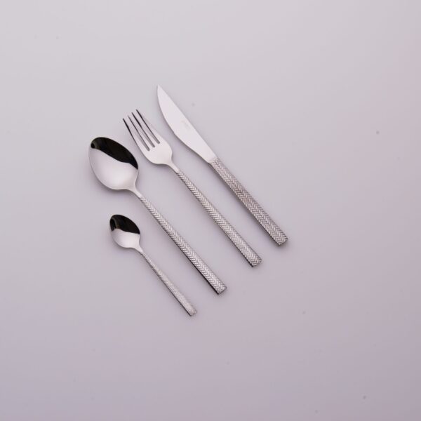 Set Posate in Acciaio Inox Spiga 2